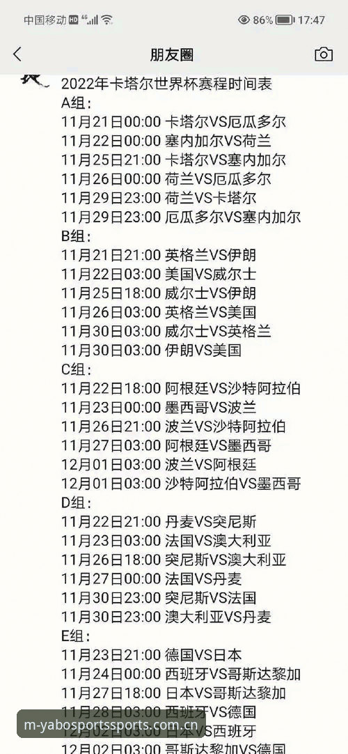 世界杯观赛体验完整指南：从签证难题到YABO体育平台的观赛选择